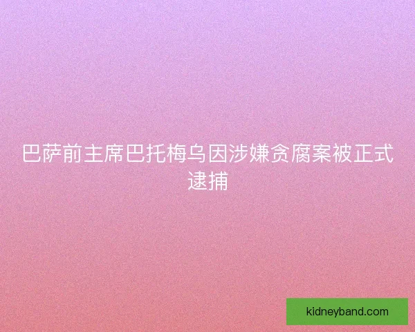 巴萨前主席巴托梅乌因涉嫌贪腐案被正式逮捕