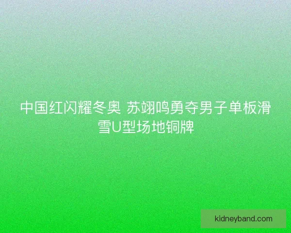 中国红闪耀冬奥 苏翊鸣勇夺男子单板滑雪U型场地铜牌