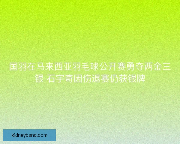 国羽在马来西亚羽毛球公开赛勇夺两金三银 石宇奇因伤退赛仍获银牌