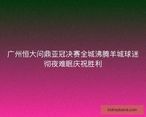 广州恒大问鼎亚冠决赛全城沸腾羊城球迷彻夜难眠庆祝胜利